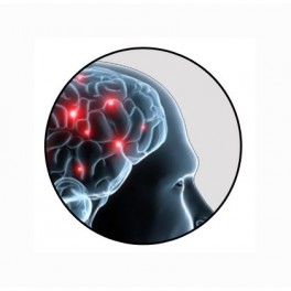 Curso e-learning de demencias Curso e-learning de demencias